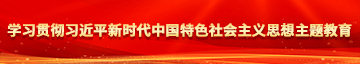 古装操逼视频学习贯彻习近平新时代中国特色社会主义思想主题教育